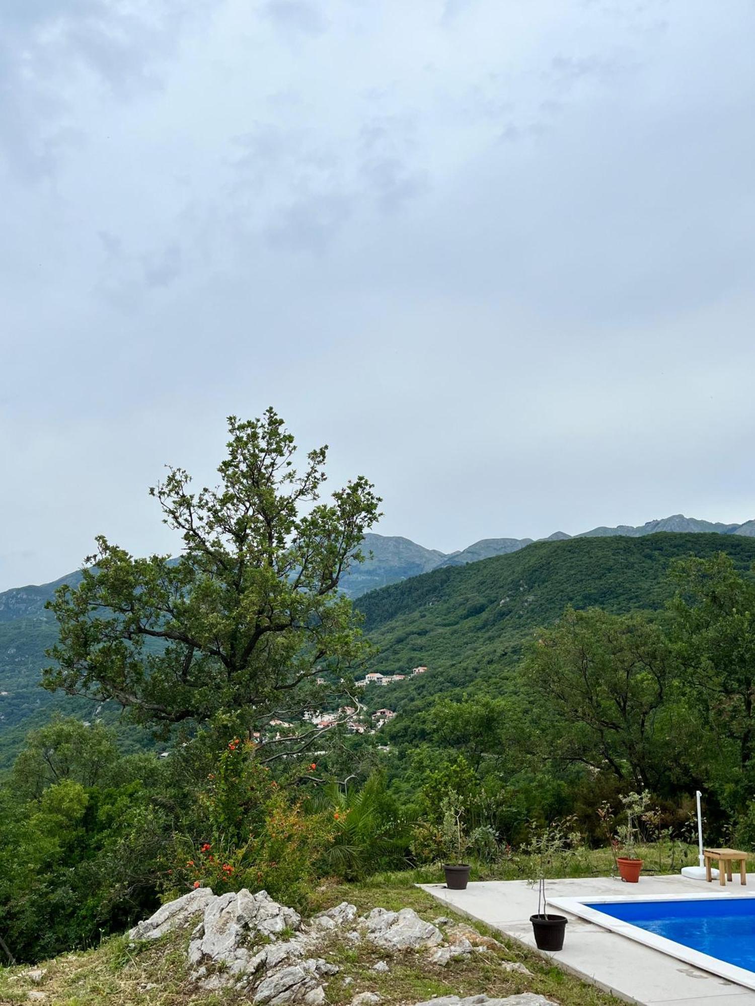 Guesthouse P&A Budva Rum bild